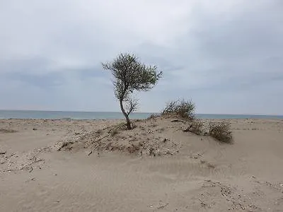 Casa Carter Gæstehus Sfântu Gheorghe