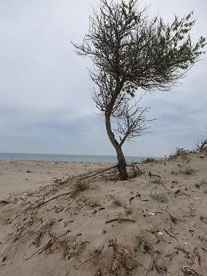 Casa Carter Gæstehus Sfântu Gheorghe