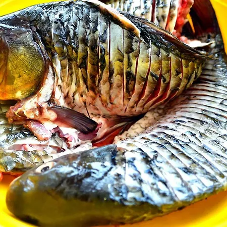 Gæstehus Casa Carter Sfântu Gheorghe