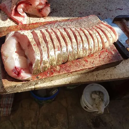 Casa Carter Gæstehus *